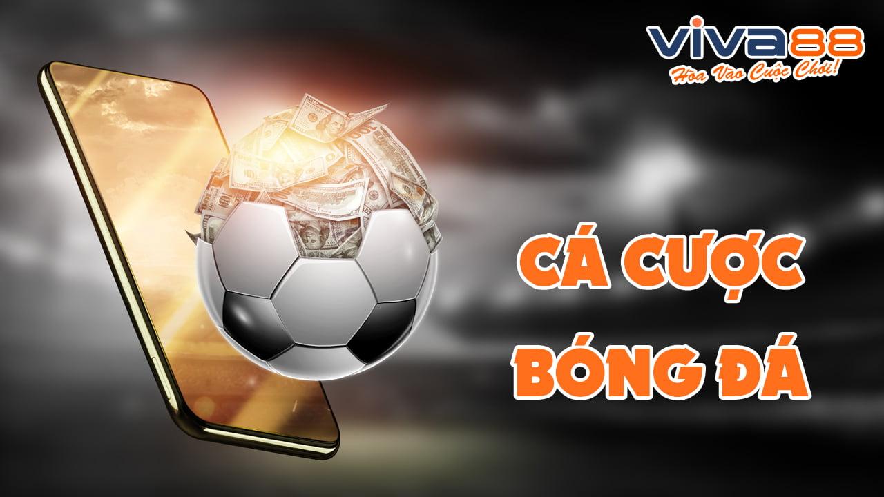 Cập nhật tình hình fifa bảo trì hôm nay và ảnh hưởng đến người chơi